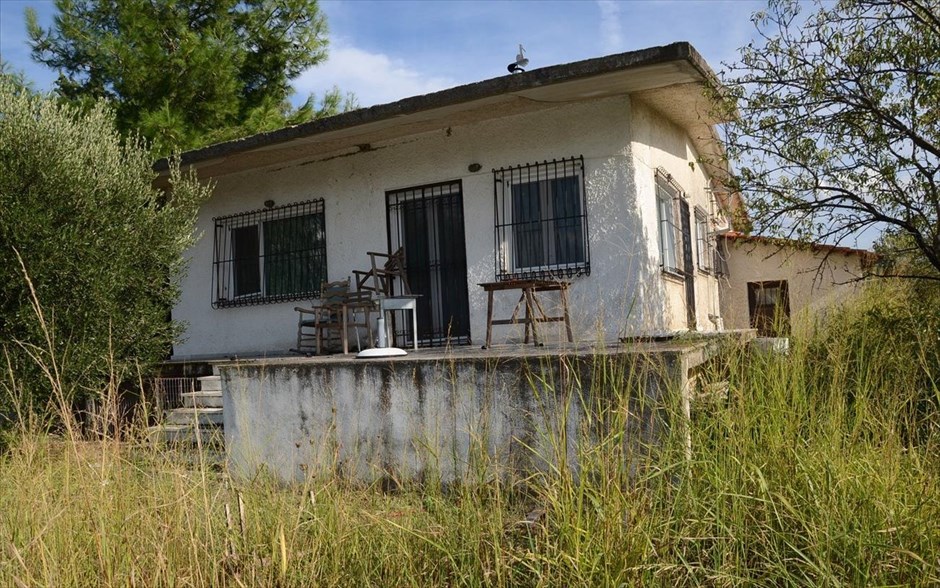 Αντιτρομοκρατική 18. 