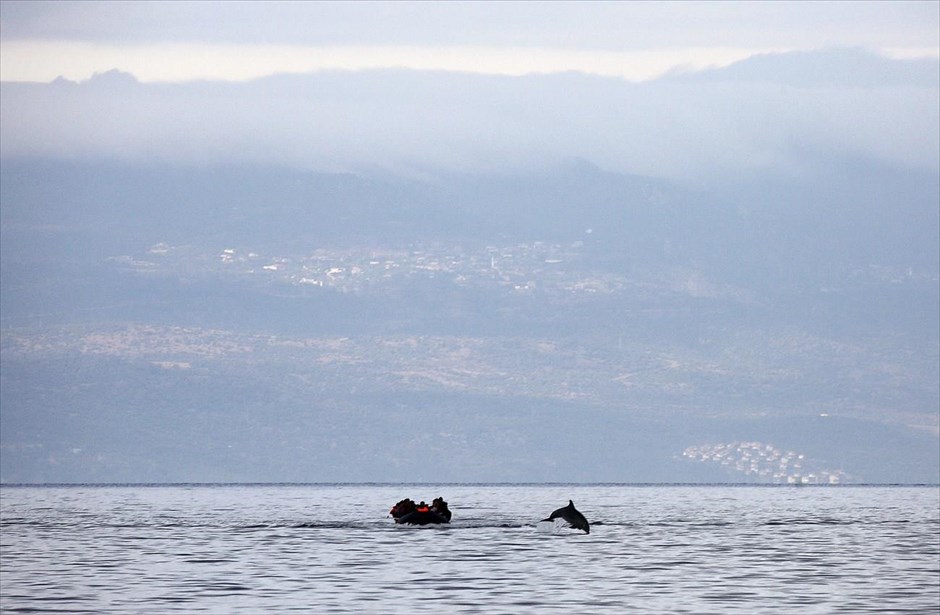 Δελφίνι συνοδεύει τους πρόσφυγες στο ταξίδι τους. Ένα δελφίνι πηδά δίπλα από φουσκωτό σκάφος το οποίο μεταφέρει πρόσφυγες από τα παράλια της Τουρκίας (διακρίνονται στο φόντο) στη Μυτιλήνη.