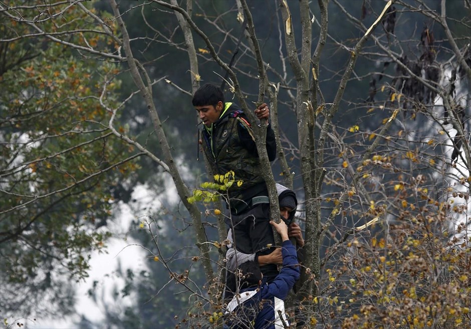 Εκατοντάδες πρόσφυγες εγκλωβισμένοι στην ουδέτερη ζώνη Ελλάδας - ΠΓΔΜ. Ένας άνδρας απειλέι να κρεμαστεί από ένα δέντρο στη διάρκεια διαμαρτυρίας που πραγματοποιείται στην ουδέτερη ζώνη Ελλάδας - ΠΓΔΜ. Οι αρχές της ΠΓΔΜ απαγορεύουν σε μετανάστες από χώρες όπως από το Πακιστάν, το Ιράν, το Μπαγκλαντές και το Μαρόκο να περάσουν τα σύνορα, με αποτέλεσμα 1.500 από αυτούς να έχουν εγκλωβιστεί στην ουδέτερη ζώνη και να διαμαρτύρονται έντονα, ζητώντας επιτακτικά από την αστυνομία να τους επιτρέψει τη διέλευση.