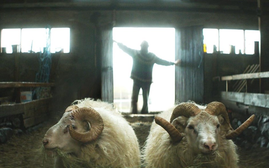 «Δεσμοί αίματος». «Δεσμοί αίματος»: Συμβαδίζοντας με τον ρυθμό της Φύσης, μαύρο χιούμορ και δράμα εναλλάσσονται στην πολυβραβευμένη ισλανδική ταινία του Γκρίμουρ Χακόναρσον, η οποία κέρδισε κοινό και κριτικούς στο Φεστιβάλ Καννών 2015, αποσπώντας το βραβείο καλύτερης ταινίας στο τμήμα «Ένα Κάποιο Βλέμμα» και το βραβείο καλύτερης ταινίας - Χρυσός Αλέξανδρος στο 56ο Φεστιβάλ Κινηματογράφου. Επίσης, είναι η επίσημη πρόταση της Ισλανδίας για το Όσκαρ καλύτερης ξενόγλωσσης ταινίας.