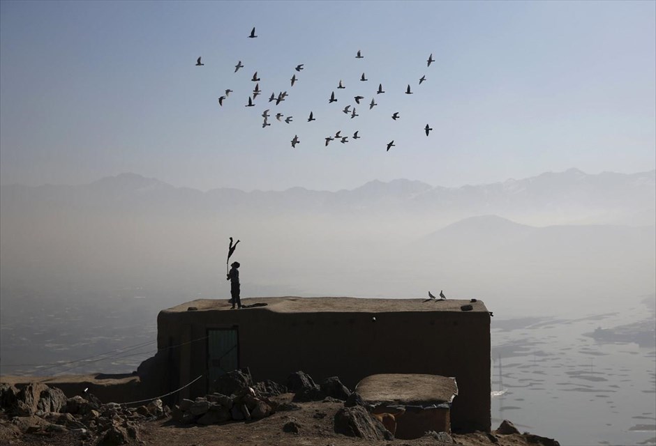 Παιχνίδια με τα περιστέρια . Ένα μικρό αγόρι παρακολουθεί ένα σμήνος περιστεριών που πετούν πάνω από το σπίτι του, στην Καμπούλ.