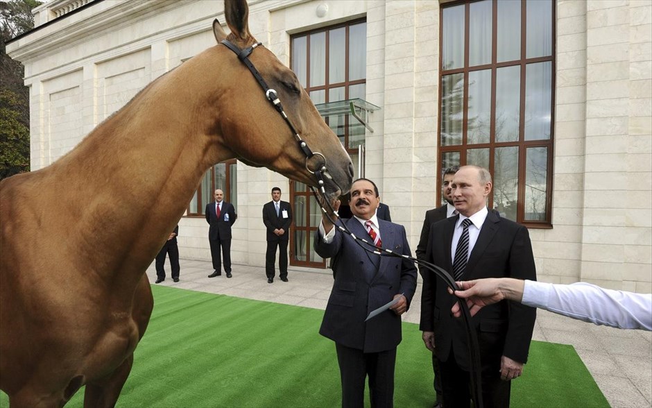 Πρωτότυπο δώρο. Ο ρώσος πρόεδρος Βλαντιμίρ Πούτιν έκανε δώρο ένα άλογο της ξεχωριστής ράτσας Akhal - Teke στον βασιλιά του Μπαχρέιν, σεΐχη Χάμαντ μπεν Ίσα Αλ Χαλίφα. Ο βασιλιάς του Μπαχρέιν επισκέφτηκε τον Βλαντιμίρ Πούτιν στο Σότσι. Η Akhal - Teke προέρχεται από το Τουρκμενιστάν και είναι η μακροβιότερη ράτσα αλόγων.