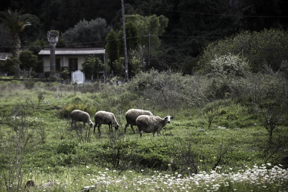 Ταξίδι στις Θερμοπύλες. Στιγμιότυπο κατά την διάρκεια ταξιδιού στις Θερμοπύλες με αφορμή την επίσκεψη του Κυριάκου Μητσοτάκη στο ξενοδοχείο φιλοξενίας μεταναστών που βρίσκεται εκεί, στις 11 Μαρτίου, 2016.