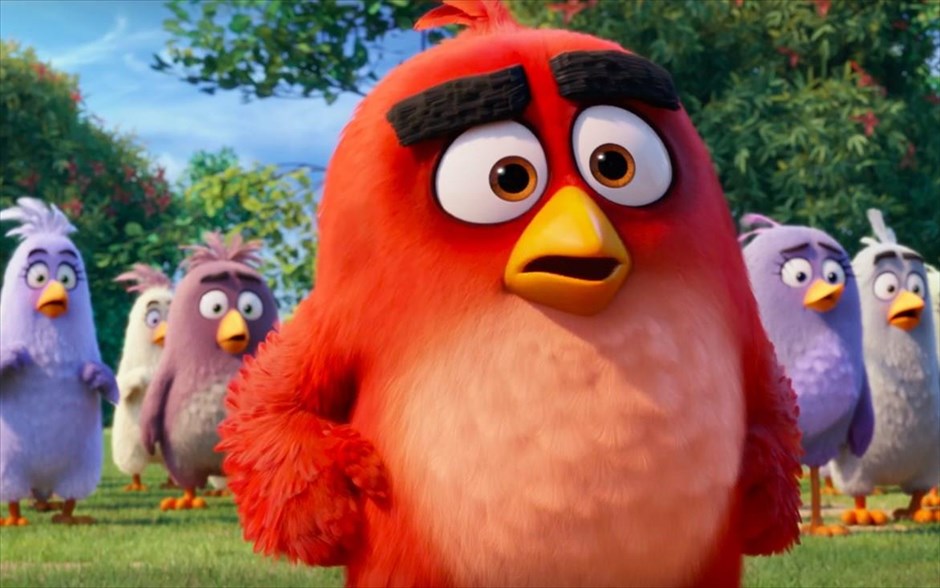 «Angry birds». «Angry birds»: Οι Κλέι Κέιτις και Φέργκαλ Ράιλι αποκαλύπτουν τον λόγο που τα πουλιά είναι τόσο θυμωμένα, μέσα από αυτή την τρισδιάστατη κωμωδία κινουμένων σχεδίων, η οποία μας μεταφέρει σε ένα παραδεισένιο νησί, που κατοικείται από χαρούμενα, αλλά ανίκανα να πετάξουν, πτηνά. Όταν το νησί γεμίζει από μυστηριώδη πράσινα γουρούνια, έρχεται η ώρα για τρεις αφανείς ήρωες να αποδείξουν τι είναι ικανοί να κάνουν.