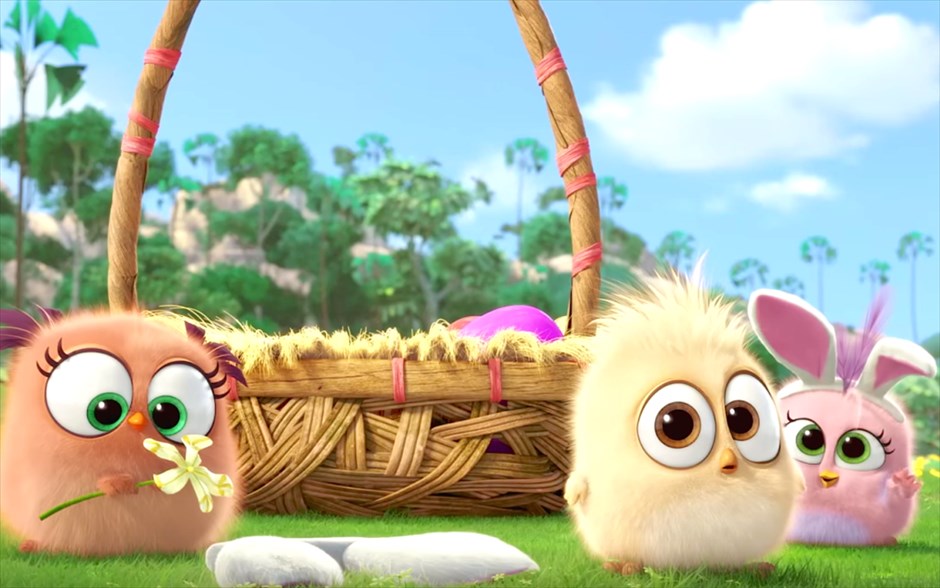«Angry birds». «Angry birds»: Οι Κλέι Κέιτις και Φέργκαλ Ράιλι αποκαλύπτουν τον λόγο που τα πουλιά είναι τόσο θυμωμένα, μέσα από αυτή την τρισδιάστατη κωμωδία κινουμένων σχεδίων, η οποία μας μεταφέρει σε ένα παραδεισένιο νησί, που κατοικείται από χαρούμενα, αλλά ανίκανα να πετάξουν, πτηνά. Όταν το νησί γεμίζει από μυστηριώδη πράσινα γουρούνια, έρχεται η ώρα για τρεις αφανείς ήρωες να αποδείξουν τι είναι ικανοί να κάνουν.