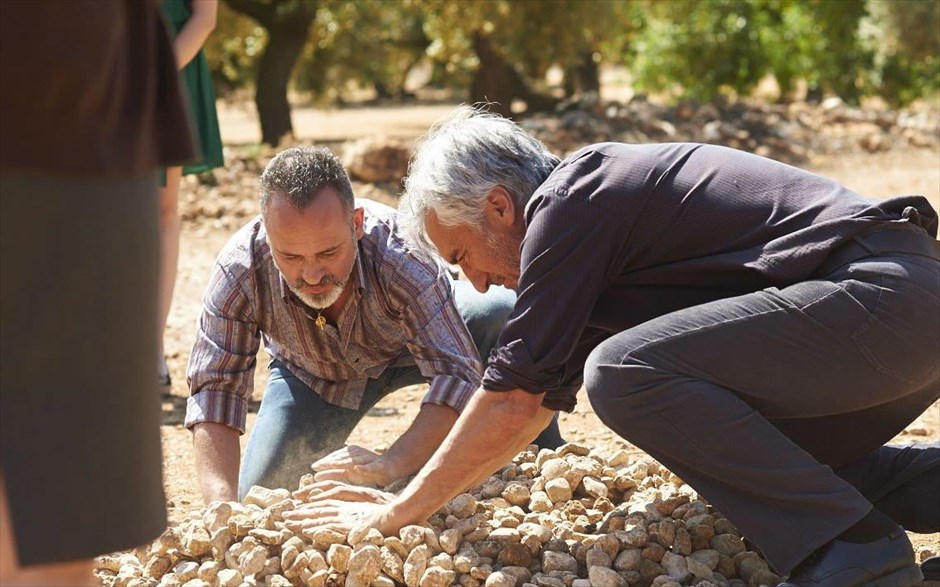 «Η ελιά». «Η ελιά»: Στο ισπανικό δράμα της πολυβραβευμένης σκηνοθέτιδας Ισιάρ Μπολαίν, μια εικοσάχρονη κοπέλα τρέφει μεγάλη αγάπη για τον άρρωστο και θλιμμένο παππού της. Όταν εκείνος αρνείται πια ακόμα και να φάει, το κορίτσι πιστεύει ότι ο μόνος τρόπος να τον βοηθήσει είναι να βρει και να φέρει πίσω την αγαπημένη του ελιά, που ξεριζώθηκε και πουλήθηκε από την οικογένειά του, πριν 12 χρόνια.