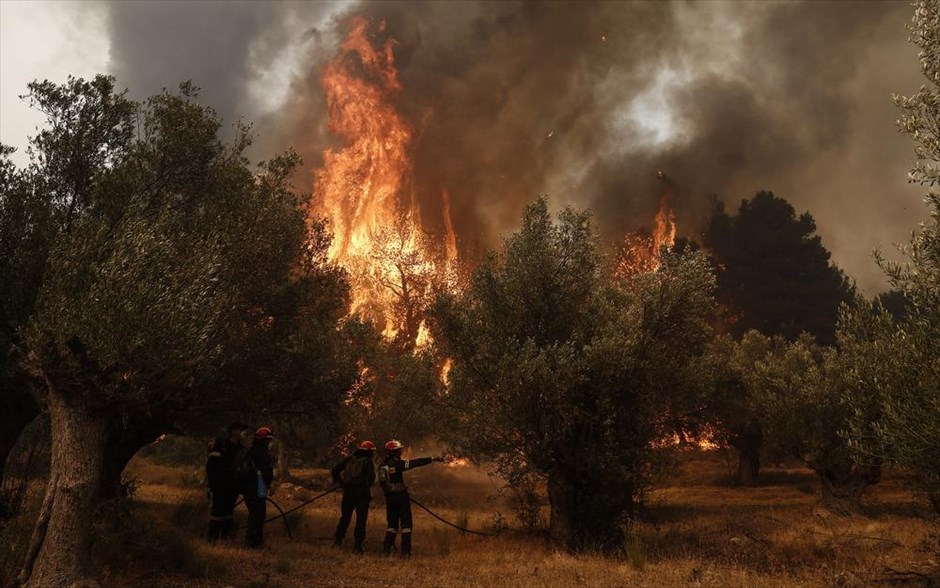 Πυρκαγιά - Βοιωτία . 