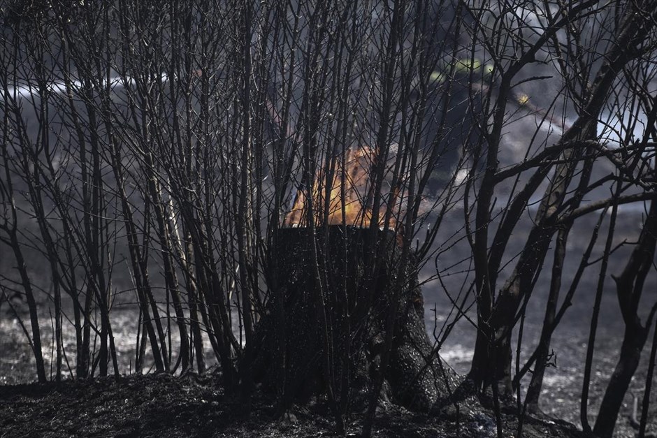 Πυρκαγιά στο Πολύδροσο Αμαρουσίου. Πυρκαγιά στο Μαρούσι,στην Αθήνα, στις 11 Ιουλίου 2016.