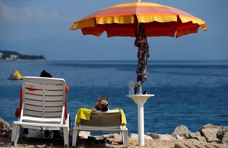 Κροατία: Beach bar για… σκύλους. 