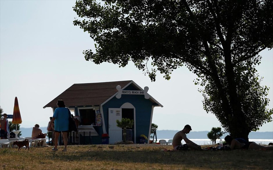 Κροατία: Beach bar για… σκύλους. 