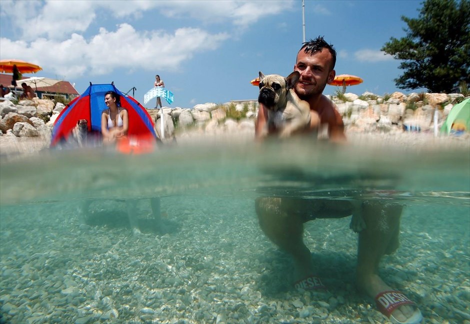 Κροατία: Beach bar για… σκύλους. 