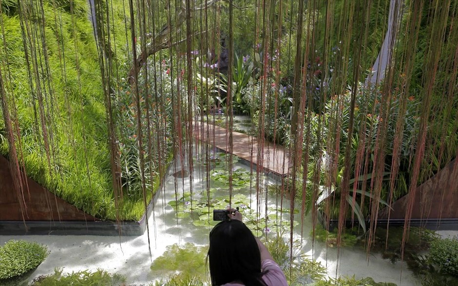 Φεστιβάλ κηπουρικής στη Σιγκαπούρη. Μία γυναίκα στέκεται κάτω από μία κληματαριά προκειμένου να φωτογραφίσει μία εγκατάσταση στο φεστιβάλ κηπουρικής της Σιγκαπούρης. Το φεστιβάλ θα διαρκέσει έως το τέλος του Ιουλίου.