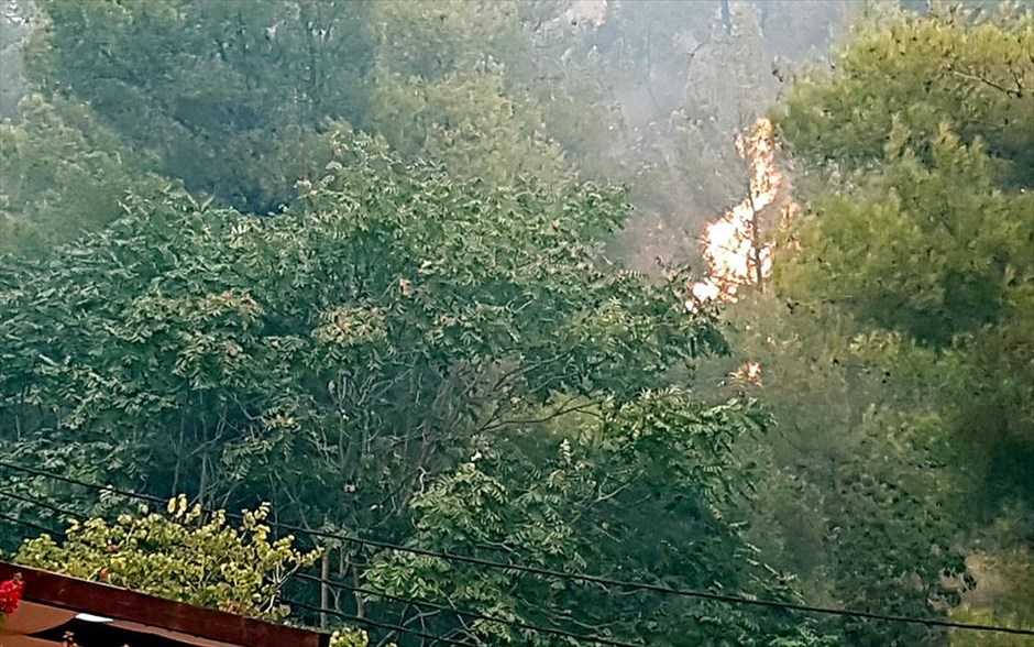 Πυρκαγιά στη Φαράκλα Ευβοίας. 