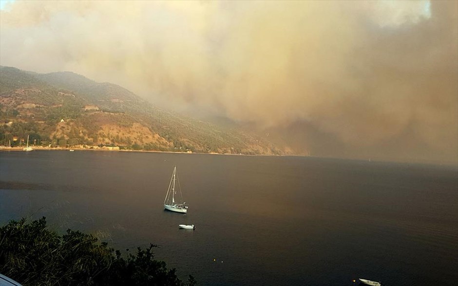 Πυρκαγιά στη Φαράκλα Ευβοίας. 