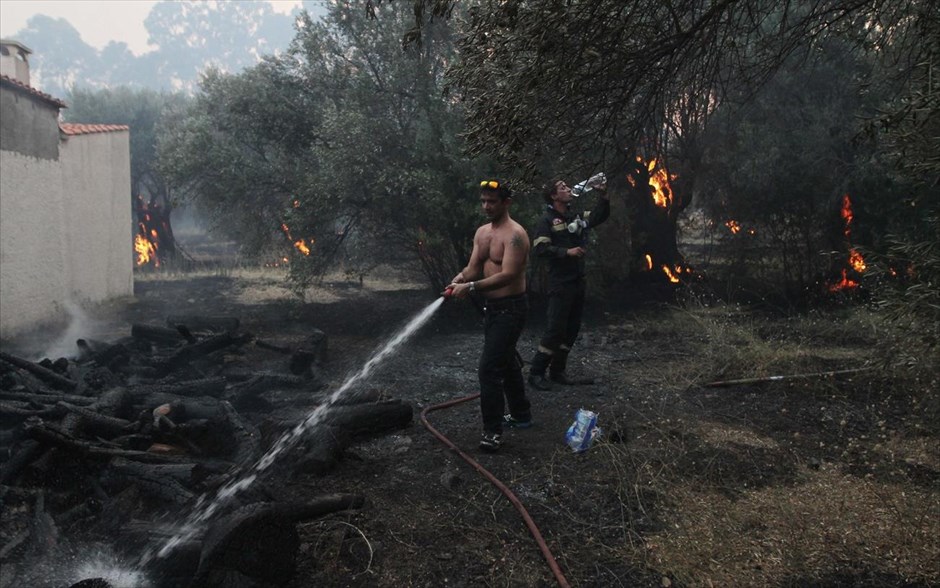 Πυρκαγιά στη βόρεια Εύβοια - Λίμνη. 