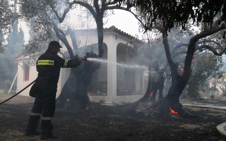 Πυρκαγιά στη βόρεια Εύβοια - Λίμνη. 