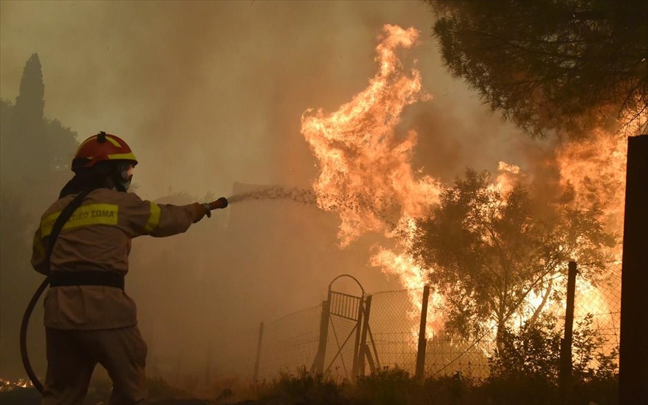 Εύβοια: Συνεχίζονται οι προσπάθειες κατάσβεσης της πυρκαγιάς. Δύο αντιπυρικές ζώνες προσπαθούν να δημιουργήσουν ισχυρές δυνάμεις της Πολιτικής Προστασίας, αποτελούμενη από πυροσβέστες, δασοφύλακες και&nbsp;στρατιώτες, στη βόρεια Εύβοια,&nbsp;στο όρος Καντήλι, η μία στη μονή Γαλατάκη και άλλη στο χωριό Τρούπη, ώστε να ελεγχθεί το καταστροφικό&nbsp;πύρινο μέτωπο.
Στην περιοχή της Λίμνης έχει ελεγχθεί πλήρως η φωτιά και δεν υπάρχει κανένα ενεργό μέτωπο.