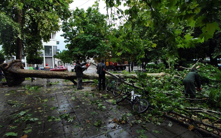 Δυνατή καταιγίδα έπληξε τα Τρίκαλα. Πλάτανος έπεσε κατα την διάρκεια καταιγίδας στην κεντρική πλατεία των Τρικάλων. Ο πλάτανος ξεριζώθηκε από τους θυελλώδεις ανέμους και τα πρωτόγνωρα σε ένταση καιρικά φαινόμενα που έπληξαν το Νομό το απόγευμα της Τρίτης .