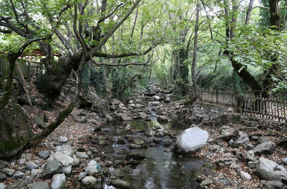 Βόλτα στη φύση. Στιγμιότυπο από το&nbsp;χωριό Βάστα,&nbsp;στο Νομό&nbsp;Αρκαδίας.