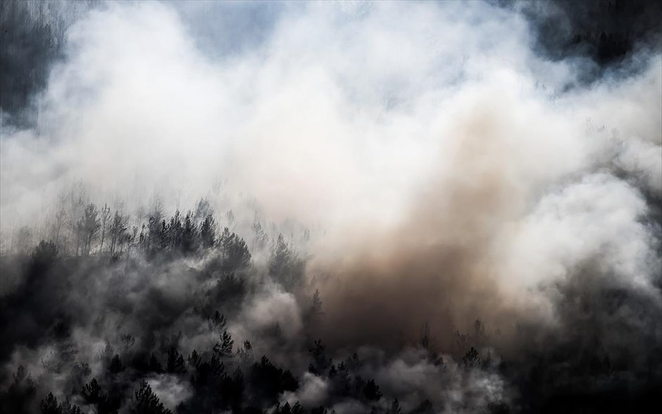 Πυρκαγιά στη Θάσο - Πυροσβεστική - Φωτιά. Ραχώνι, Θάσος.