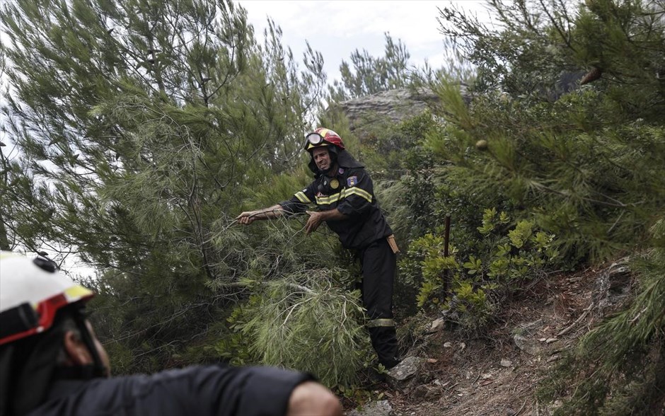 Πυρκαγιά στη Θάσο - Πυροσβεστική - Φωτιά. 