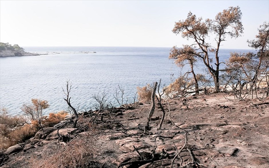 Πυρκαγιά στη Θάσο - Καταστροφές - Φωτιά. Στιγμιότυπα από τις περιοχές Αλυκές και Σκίδια, στη Θάσο.