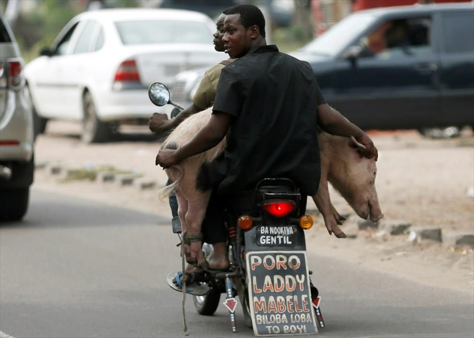 Καθημερινή ζωή στο Κονγκό. Δύο άντρες μεταφέρουν ένα γουρούνι με μηχανάκι, στην Κινσάσα, στην Λ.Δ. του Κονγκό.