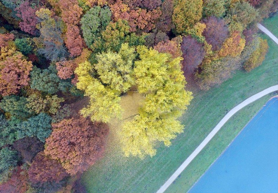 Τα χρώματα της φύσης. Φθινοπωρινές εικόνες από την Κολωνία, στη Γερμανία.