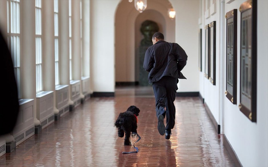Μπαράκ Ομπάμα - Τα αγαπημένα καρέ του φωτογράφου του Ομπάμα. Ο πρόεδρος Μπαράκ Ομπάμα παίζει με τον Μπο το σκύλο του, στο Λευκό Οίκο (15 Μαρτίου 2009).