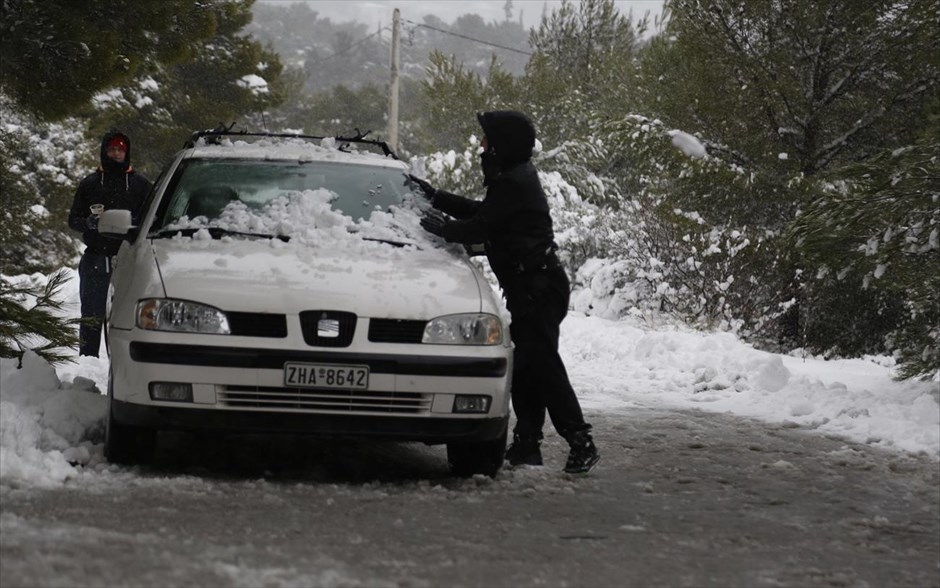 Χιόνι - χιονόπτωση - κρύο - καιρός - Αττική - Πάρνηθα. Χιονόπτωση στην Πάρνηθα