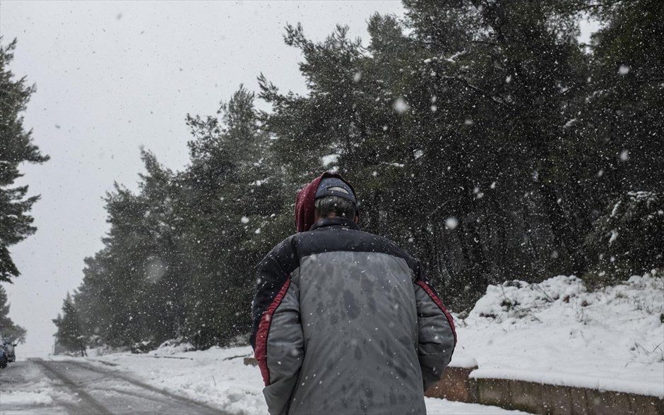 Χιόνι - χιονόπτωση - κρύο - καιρός - Αττική -  Βόρεια Προάστια. Χιονόπτωση στη Δροσιά, στα βόρεια προάστια της Αθήνας