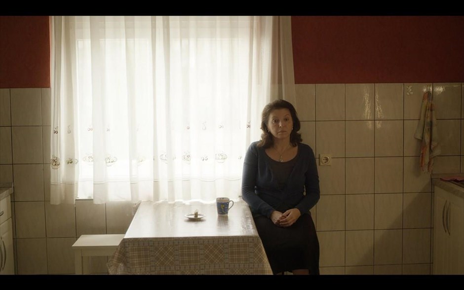 «Καλή σύζυγος». «Καλή σύζυγος»: Mια μέσης ηλικίας μητέρα και νοικοκυρά, που ζει μια τακτοποιημένη ζωή με τον άντρα της, στα προάστια του Βελιγραδίου. Όλα κυλούν ήρεμα, μέχρι τη στιγμή που βρίσκει μια ξεχασμένη βιντεοκασέτα, στην οποία ανακαλύπτει ότι ο σύζυγός της είναι εγκληματίας πολέμου. Τότε, αναγκάζεται να πάρει αποφάσεις, που θα συνταράξουν τη ζωή όλων.