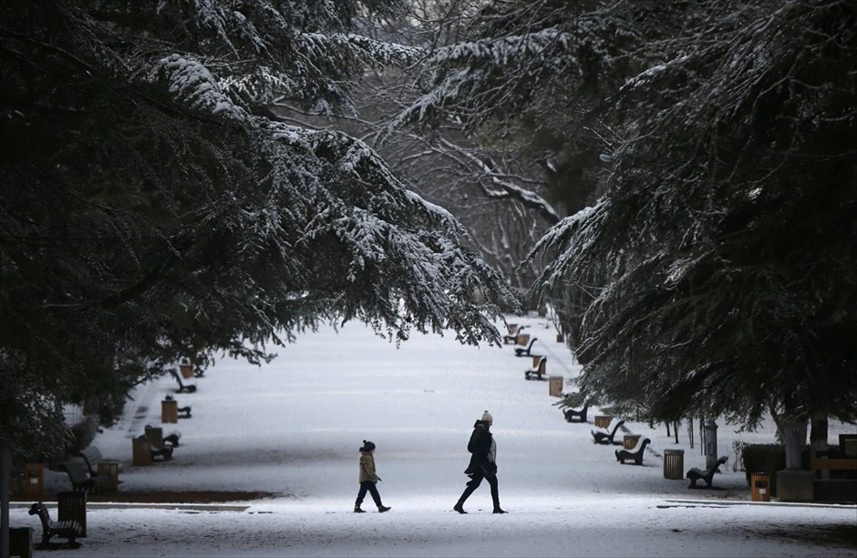 Καθημερινή ζωή στην Γεωργία . Κόσμος περπατά σε πάρκο καλυμμένο με χιόνι, στην Τιφλίδα.