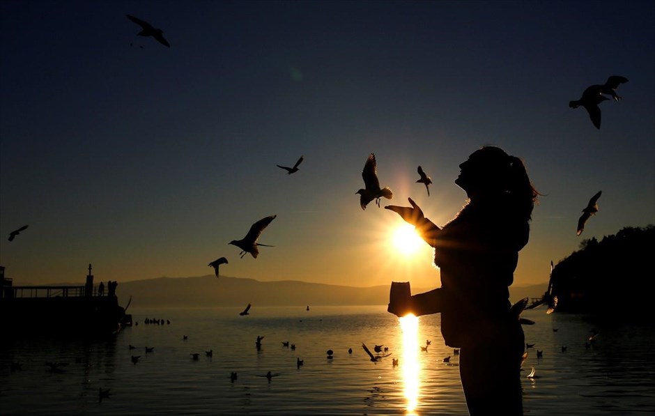 Ηλιοβασίλεμα στην Οχρίδα . Μια γυναίκα ταΐζει τους γλάρους&nbsp;στη λίμνη&nbsp;Οχρίδα της ΠΓΔΜ.