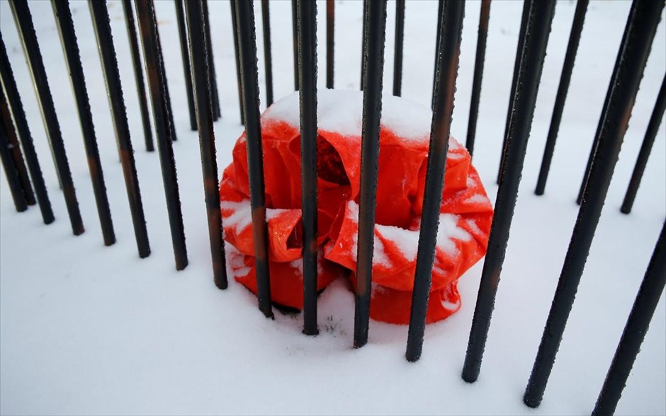 Κακοκαιρία - ΗΠΑ. Με χιόνι έχει καλυφθεί η εικαστική εγκατάσταση - κίνηση διαμαρτυρίας ενάντια στην θανατική ποινή , που βρίσκεται στην Ουάσινγκτον.