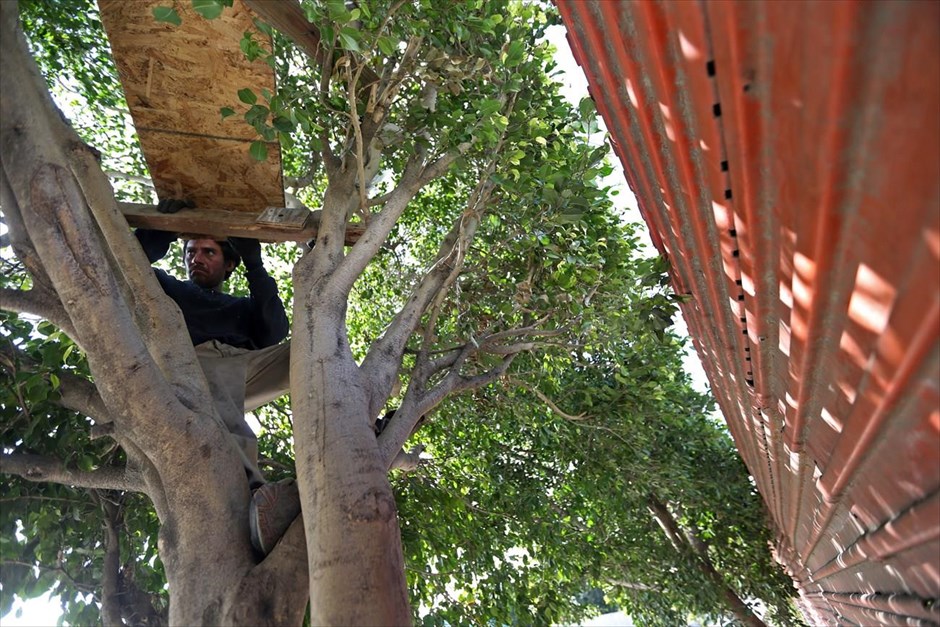 Μεξικό: Στη σκιά του φράχτη. Ο Χοακίν κατασκευάζει ένα κρεβάτι πάνω σε δέντρο. «Προσπάθησα να περάσω στις ΗΠΑ τόσες πολλές φορές που με έμαθαν ακόμα και οι φύλακες, αλλά ποτέ δεν τα κατάφερα», λέει στο Reuters ο 36χρονος άντρας, ο οποίος προσπαθεί να ζήσει ψάχνοντας στα σκουπίδια για αντικείμενα που θα μπορούσε να πουλήσει σε εργοστάσιο ανακύκλωσης της Τιχουάνα.