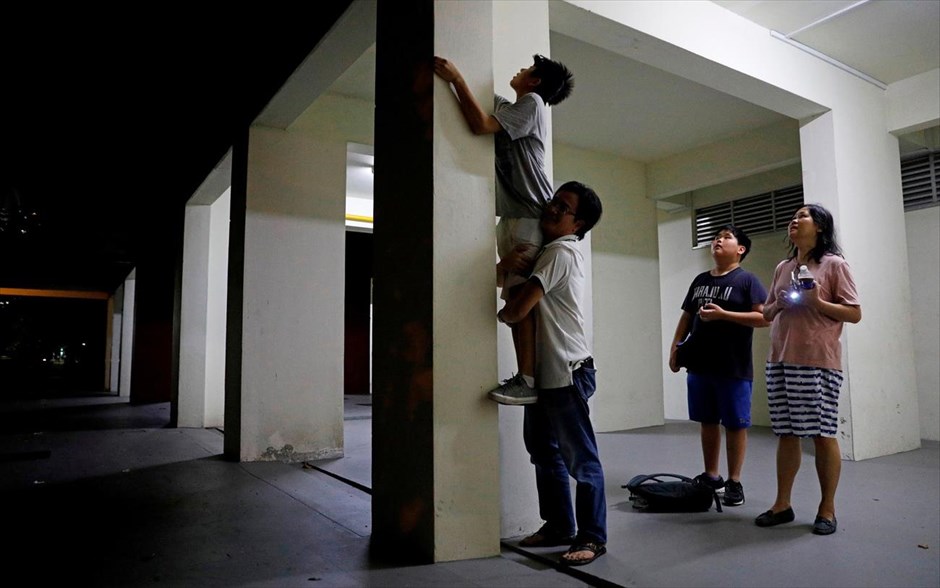 Σιγκαπούρη: Συλλέκτες μυρμηγκιών . 