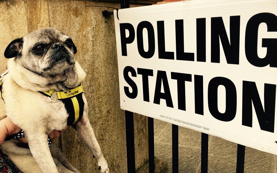 Σκυλιά στις βρετανικές εκλογές. 