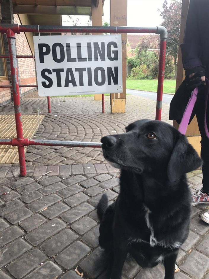 Σκυλιά στις βρετανικές εκλογές. 