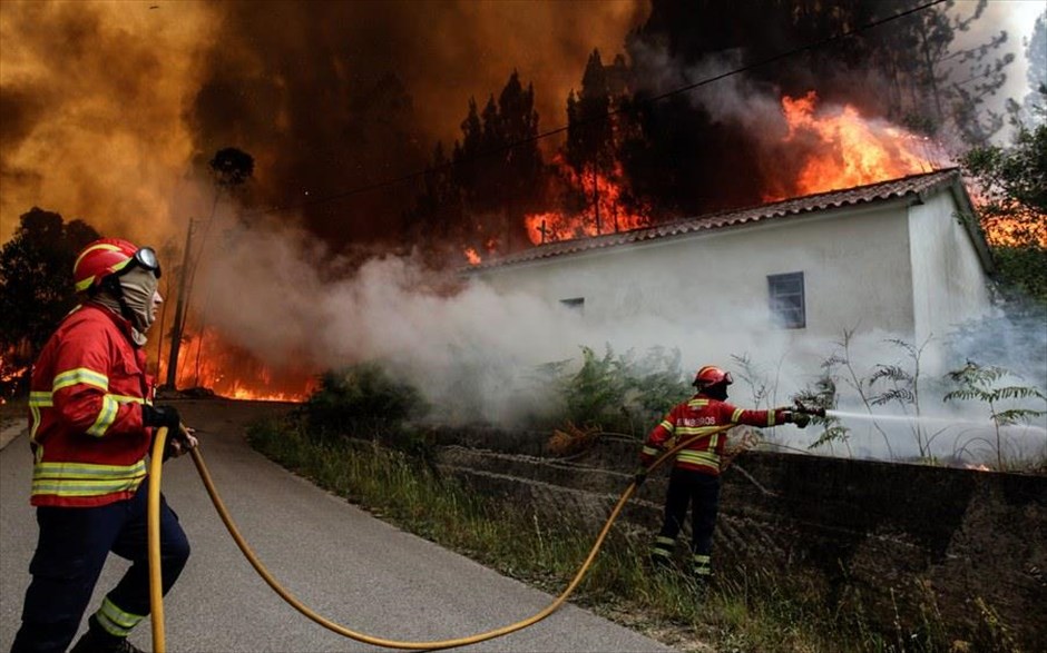 Πορτογαλία- δάσος- φωτιά. 