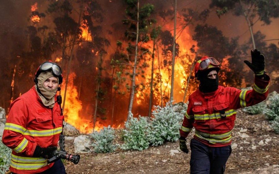 Πορτογαλία- δάσος- φωτιά. 
