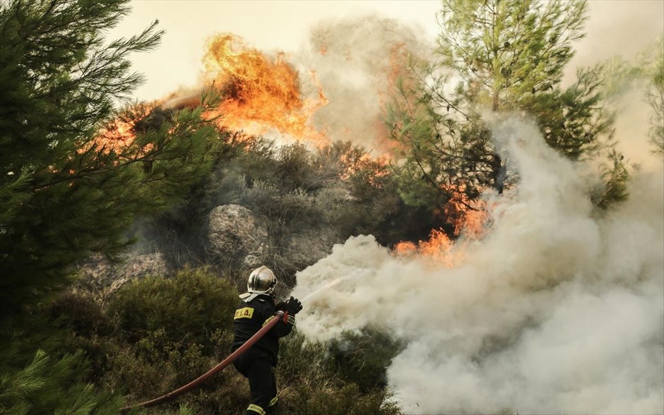 Πυρκαγιά- Φωτιά- Κάλαμος. Πυροσβέστης επιχειρεί κατάσβεση της πυρκαγιάς που έχει εκδηλωθεί στον Κάλαμο. Στην περιοχή έχουν ήδη εκκενωθεί δύο κατασκηνώσεις, ενώ όπως ανέφερε ο δήμαρχος Ωρωπού Θωμάς Ρούσσης μιλώντας στον Alpha, κάηκαν και ορισμένα σπίτια.&nbsp;Η πυρκαγιά έχει πάρει επικίνδυνες διαστάσεις, καθώς φυσάει ισχυρός άνεμος, ενώ καίγονται παλιά πεύκα σε περιοχή με διάσπαρτα σπίτια.