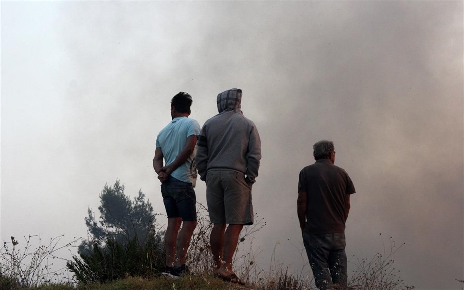 Πυρκαγιά στον Βαρνάβα Αττικής #7. 