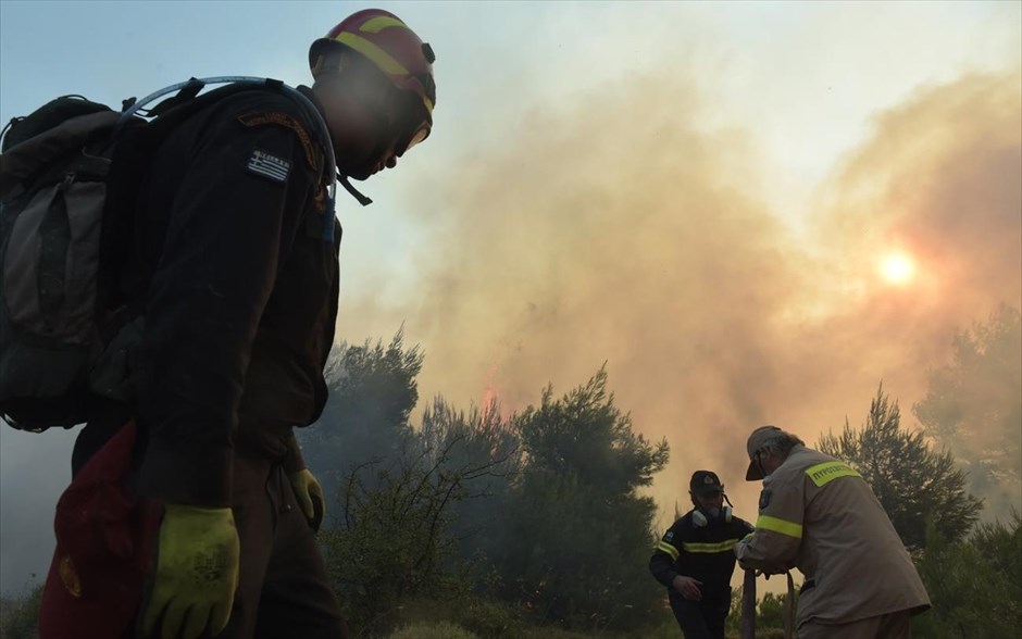 Πυρκαγιά στον Βαρνάβα Αττικής #8. 