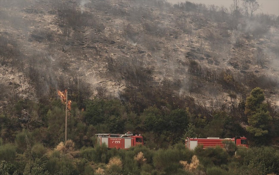 Πυρκαγιά στον Βαρνάβα Αττικής. 