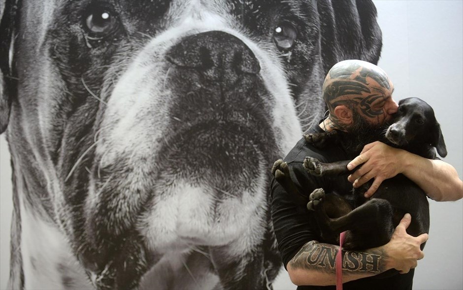 «Discover Dogs 2017»: Ένα φεστιβάλ αφιερωμένο στους σκύλους. Στιγμιότυπο από το&nbsp;φεστιβάλ «Discover Dogs 2017»&nbsp;που έχει ως στόχο την ενημέρωση, την εκπαίδευση και την ευαισθητοποίηση των κηδεμόνων και φίλων του σκύλου σε θέματα ποιότητας ζωής, κοινωνικής ευθύνης, δικαιωμάτων, υποχρεώσεων και καθημερινότητας.
