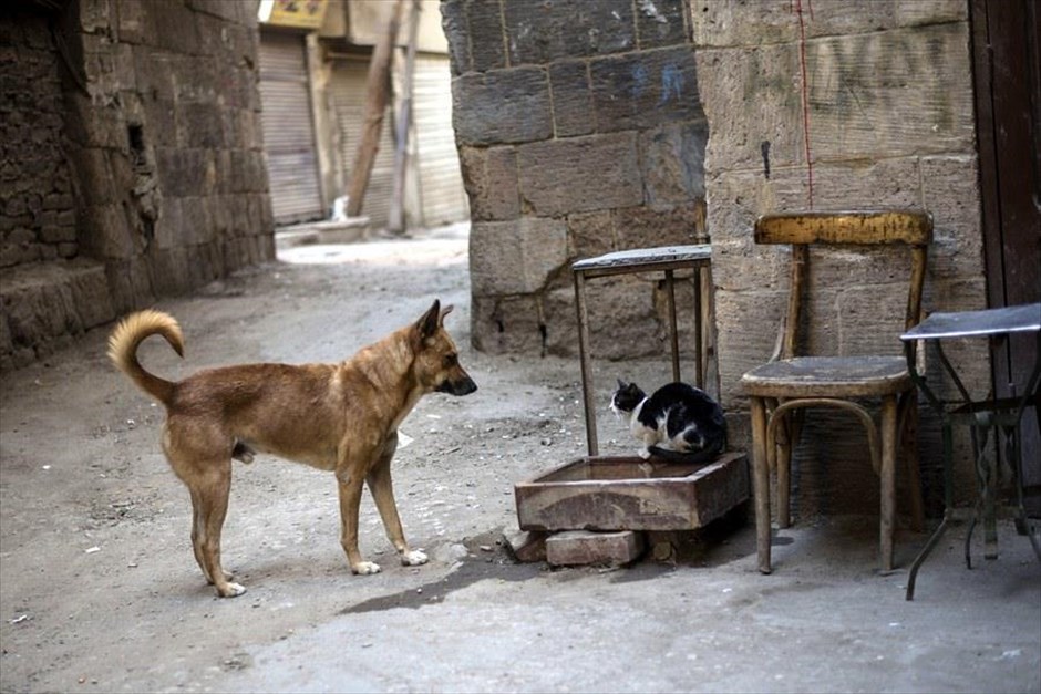 «Μετωπική σύγκρουση» στο Κάιρο. Στιγμιότυπο από την περιοχή Al Ghoreia, στο Κάιρο.