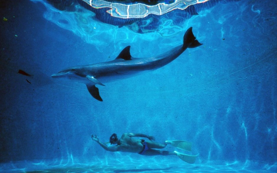 Dolphin man. Μεταφέροντας το επείγον μήνυμά του για την προστασία της θάλασσας και τη βιωματική εμπειρία της επανασύνδεσης του ανθρώπου με τη φύση, η συναρπαστική ιστορία του θρυλικού δύτη Ζακ Μαγιόλ, ήρωα της ταινίας «Το απέραντο γαλάζιο» του Λικ Μπεσόν, ζωντανεύει στο πρώτο ντοκιμαντέρ μεγάλου μήκους του Λευτέρη Χαρίτου.