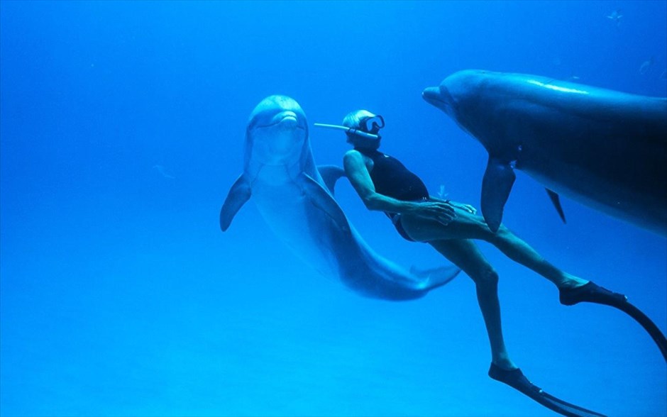 Dolphin man. Μεταφέροντας το επείγον μήνυμά του για την προστασία της θάλασσας και τη βιωματική εμπειρία της επανασύνδεσης του ανθρώπου με τη φύση, η συναρπαστική ιστορία του θρυλικού δύτη Ζακ Μαγιόλ, ήρωα της ταινίας «Το απέραντο γαλάζιο» του Λικ Μπεσόν, ζωντανεύει στο πρώτο ντοκιμαντέρ μεγάλου μήκους του Λευτέρη Χαρίτου.