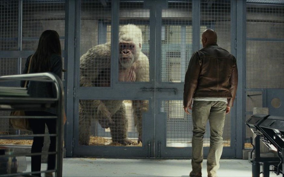 Rampage: Το απόλυτο χάος. Η περιπέτεια επιστημονικής φαντασίας του Μπραντ Πέιτον, που προβάλλεται και σε τρισδιάστατη έκδοση, βασίζεται στο βιντεοπαιχνίδι «Rampage». Με τους Ντουέιν Τζόνσον, Ναόμι Χάρις, Μαλίν Άκερμαν, Τζέικ Λέισι και Τζο Μανγκανιέλο, ένας μοναχικός επιστήμονας αναπτύσσει στενό δεσμό με έναν πανέξυπνο γορίλα, τον οποίο φροντίζει από τη γέννησή του.